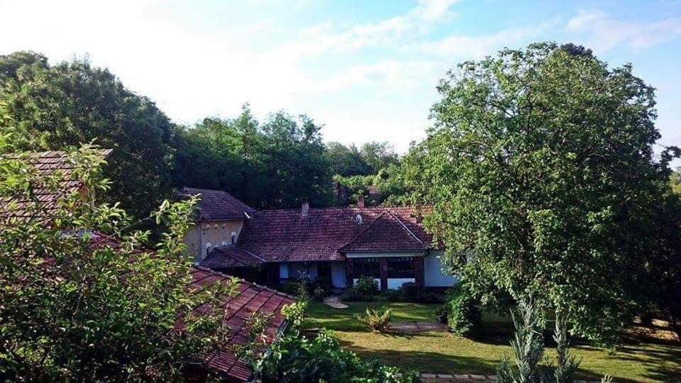 Nyugalomsziget Villa Kotcse Ngoại thất bức ảnh