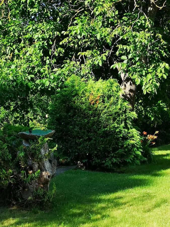 Nyugalomsziget Villa Kotcse Ngoại thất bức ảnh