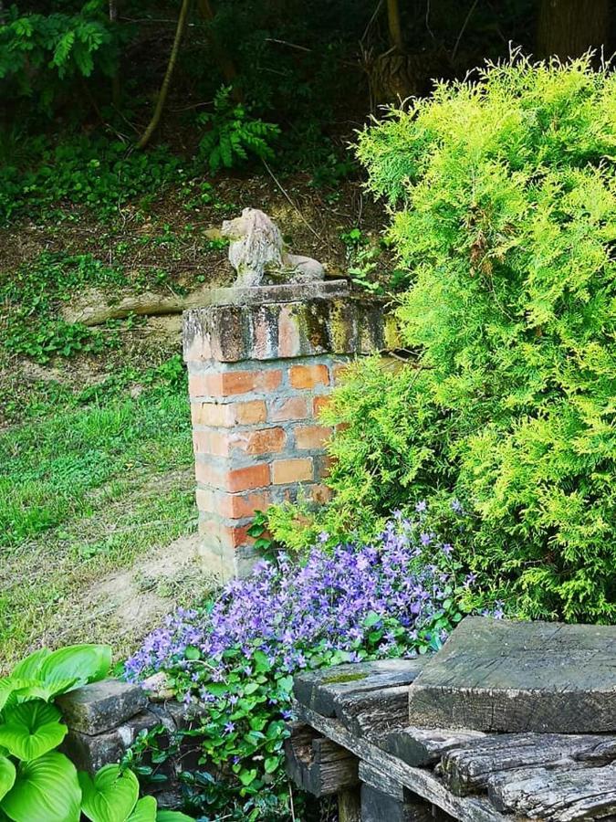 Nyugalomsziget Villa Kotcse Ngoại thất bức ảnh
