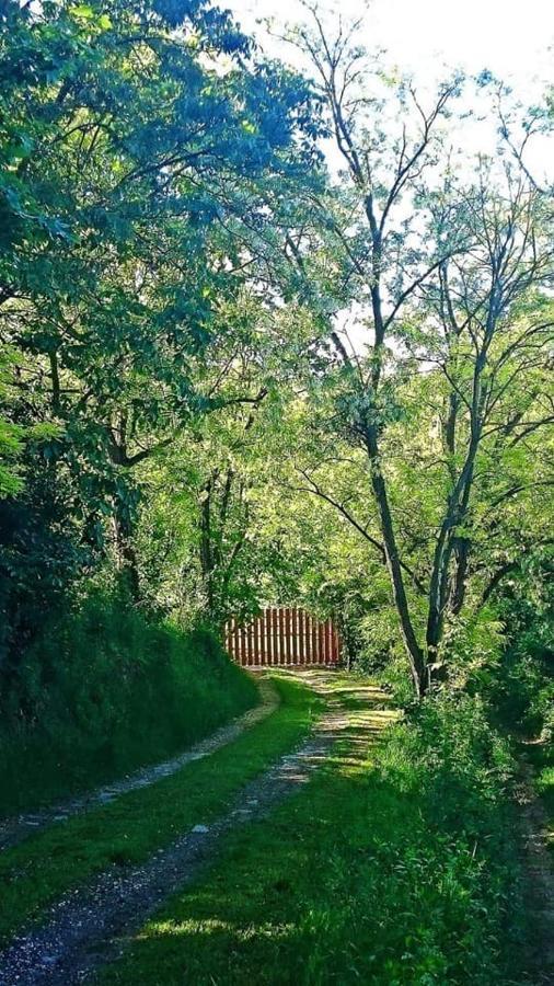 Nyugalomsziget Villa Kotcse Ngoại thất bức ảnh
