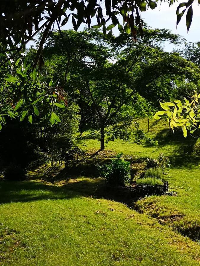 Nyugalomsziget Villa Kotcse Ngoại thất bức ảnh